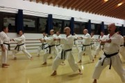 karate-desenzano-10